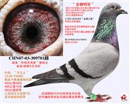 ǡ
