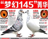 ԰ʿơλ145λϣߣ