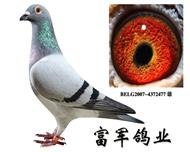 (Ǻ)ֱ