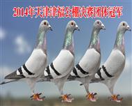 2014򸣣ھ
