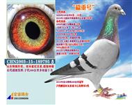 ᡿ǿ75ƴֱ