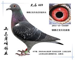 469