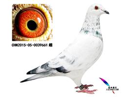԰661