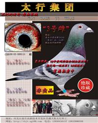 ǡ䡰ơֱŮ--3Ŵơ