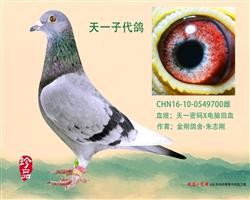 һӴ
