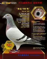 848ֱŮ 198