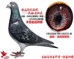 һ 0376