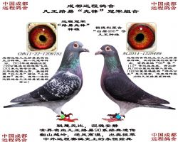 ·סȷ桱ھ