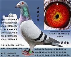 ķͷ562