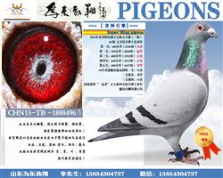     桿