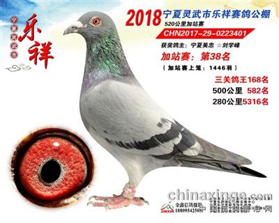 18괺52038У