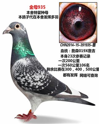 ĸ935