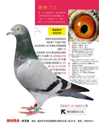 711