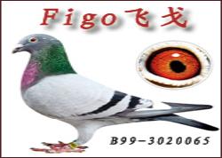 Ⱥġɸꡱ